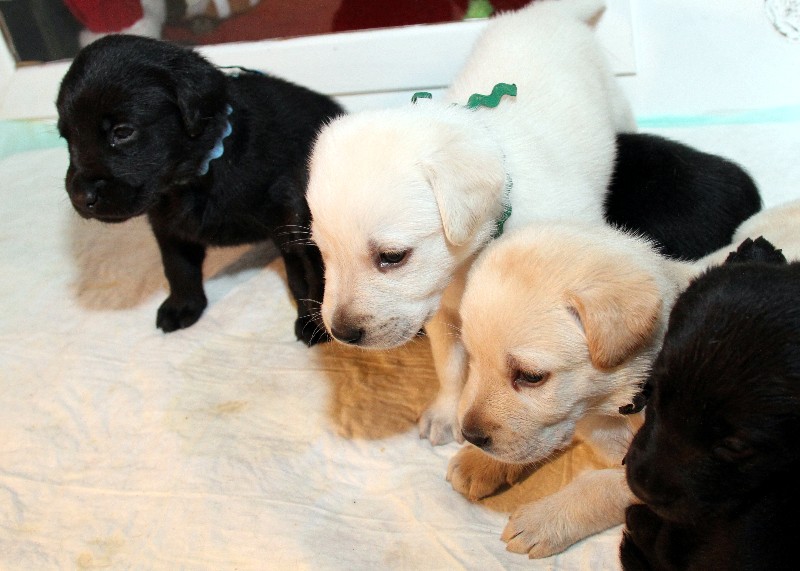 Krystal x Tucker – Dec. 5, 2011