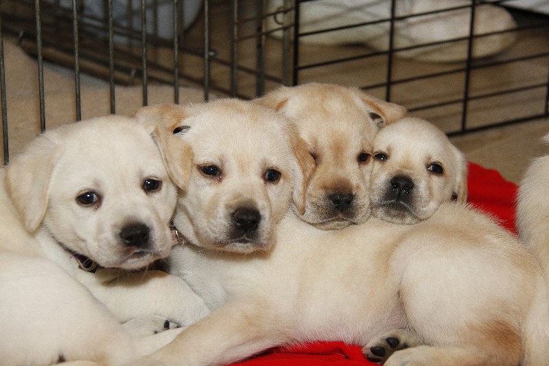 Eva x Oliver – Jan. 17, 2013