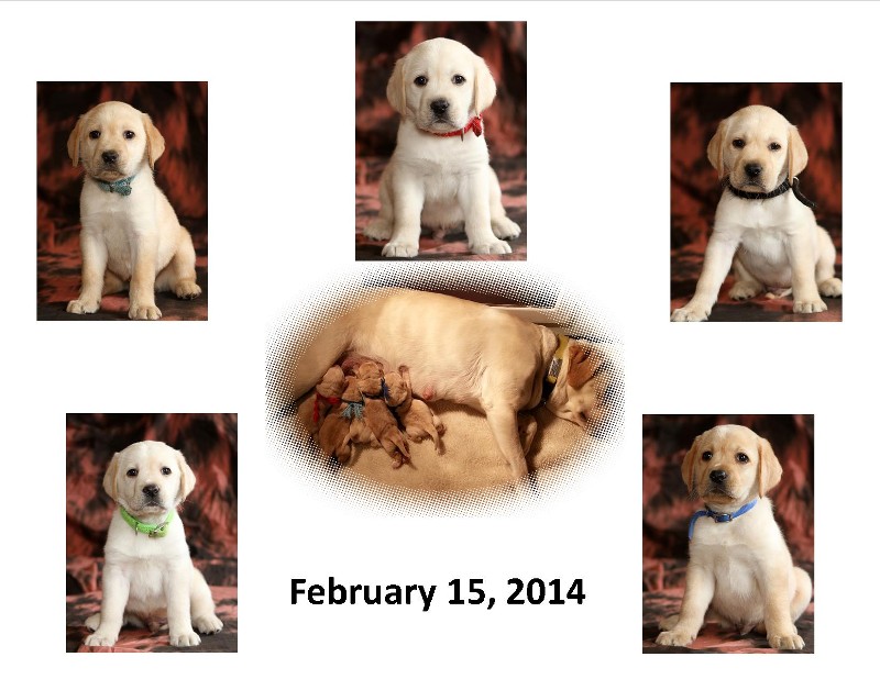 Eva x Oliver – Feb. 15, 2014