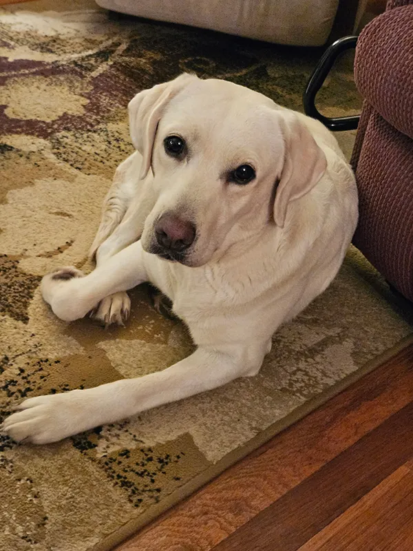 Penny